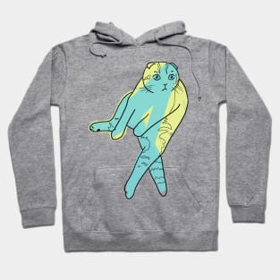 Scottish Fold Cat Sitting Blue/Green and Yellow Design Hoodie